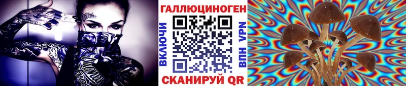 Псилоцибиновые грибы MAGIC MUSHROOMS Одинцово